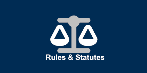 rules & statutes icon